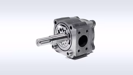 Rotary pumps